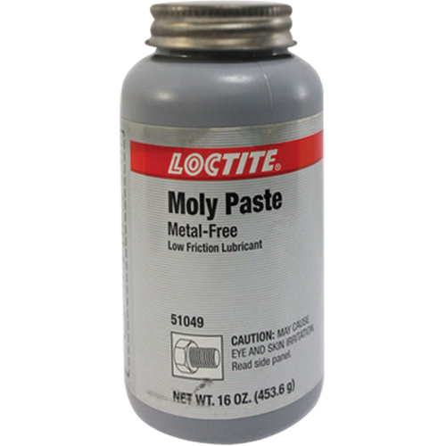 Moly Paste, 518 g., 750°F (400°C) Max. Effective Temperature Cantin et fils