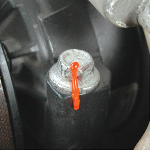 P&acirc;te indicatrice inviolable Cross-Check Torque Seal, 1 oz, Tube, Rouge Cantin et fils