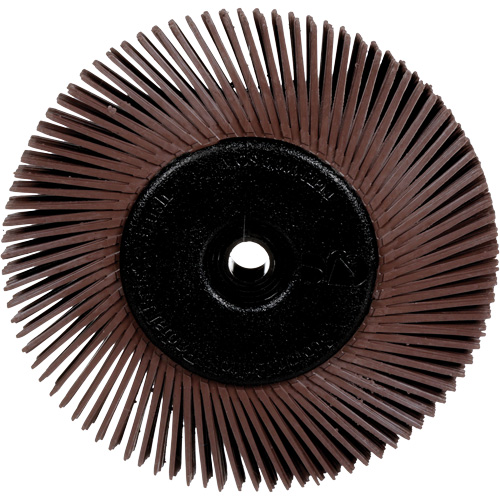 Brosses radiales bristle pour meuleuses d'&eacute;tabli, Grain 36X, 6" dia. Cantin et fils