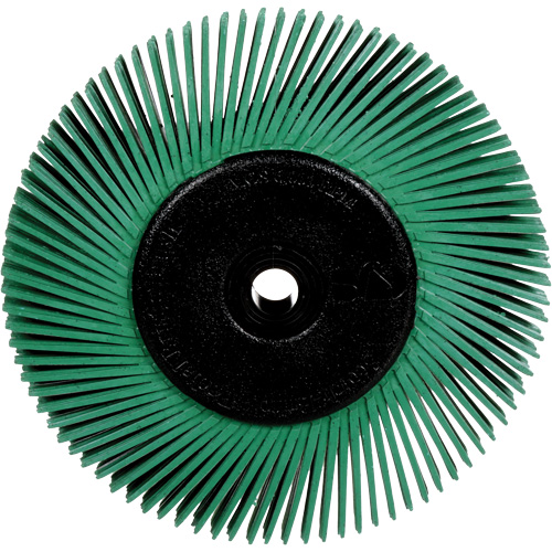 Brosses radiales bristle pour meuleuses d'&eacute;tabli, Grain 50X, 6" dia. Cantin et fils