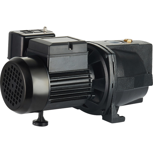 Pompe &agrave; jet en fonte &agrave; double tension pour puit peu profond, 115 V/230 V, 1100 gal./h, 1 CV Cantin et fils