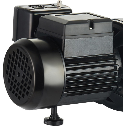 Pompe &agrave; jet en fonte &agrave; double tension pour puit peu profond, 115 V/230 V, 1100 gal./h, 1 CV Cantin et fils