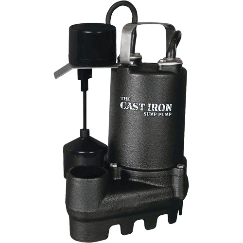 Cast Iron Submersible Sump Pump with Vertical Float Switch, 67 GPM, 33 V, 5 A, 1/3 HP Cantin et fils