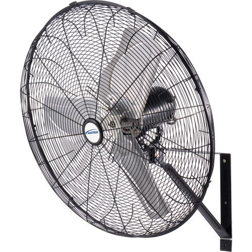 Waterproof Motor Misting & Oscillating Pedestal Fan, Industrial, 3 Speed, 30" Diameter Cantin et fils