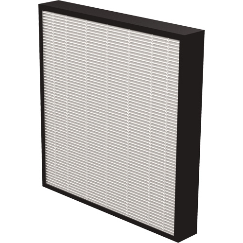 V&eacute;ritables filtres HEPA AeraMax Pro AM3 & AM4 2", Boîte, 13,75" la x 2,25" p x 14,38" h Cantin et fils
