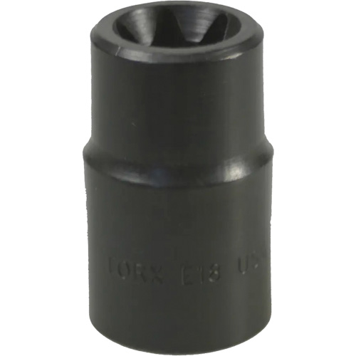Douille Torx&reg; E-18 Cantin et fils