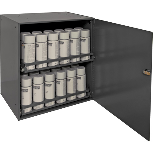 Armoire de rangement pour contenants a&eacute;rosol, Acier, 21-7/8" h x 15-15/16" la x 20-5/16" P, Gris Cantin et fils