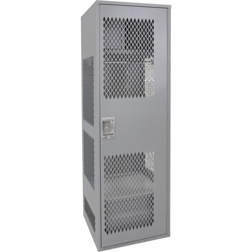 Gear Locker with Door, Steel, 24" W x 24" D x 72" H, Grey Cantin et fils