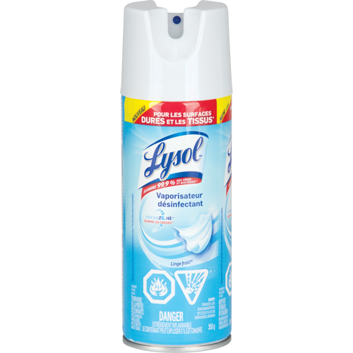 Disinfectant Spray, 350 g, Aerosol Can Cantin et fils