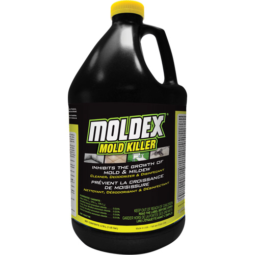 Moldex&reg; Mold Killer, 3.78 L, Jug Cantin et fils