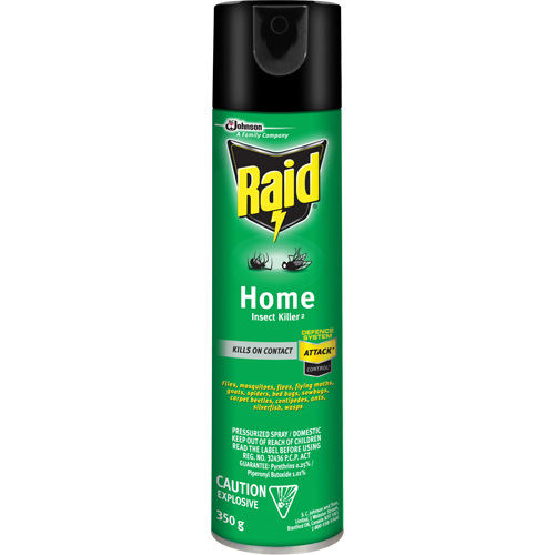 Insecticide pour insectes domestiques Raid, 350 g, &agrave; base de solvant Cantin et fils