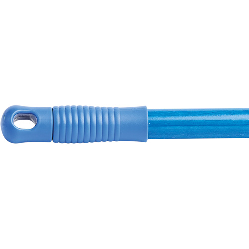 Handle, Fibreglass, Quick-Connect Tip, 1" Diameter, 60" Length Cantin et fils