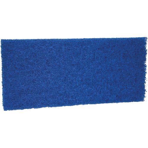 Medium Scrub Pad, 10" L x 4-1/2" W Cantin et fils