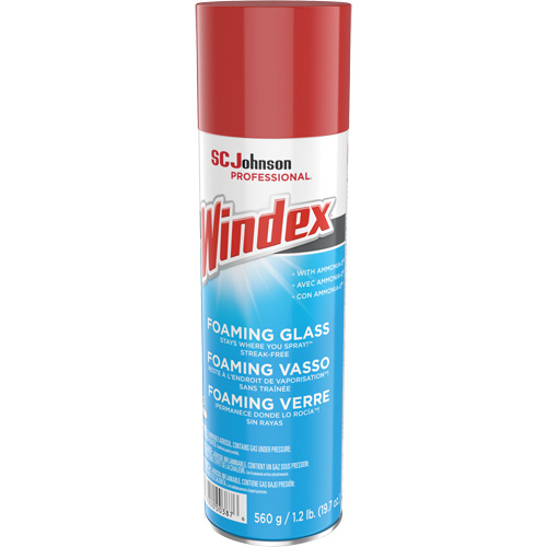 Nettoyant moussant pour vitres Windex, 560 g, Canette a&eacute;rosol Cantin et fils