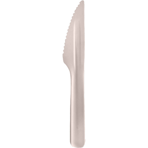 Bagasse Compostable Knives Cantin et fils