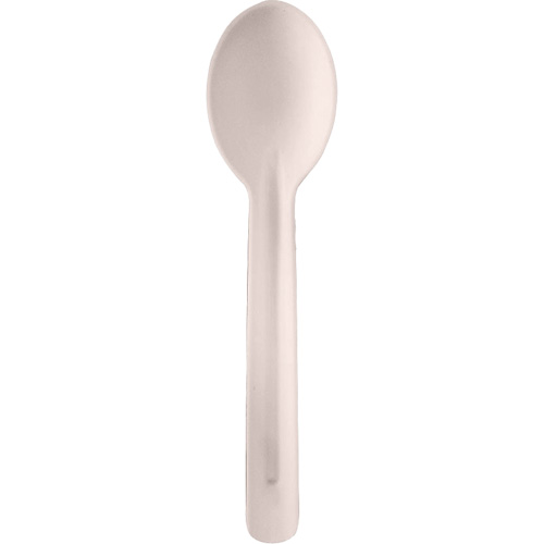 Bagasse Compostable Spoons Cantin et fils