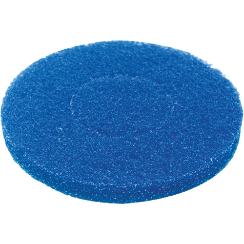 Floor Pad, Cleaning, Blue Cantin et fils