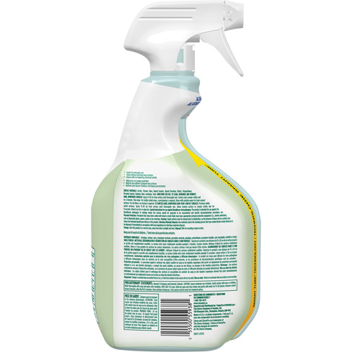 CloroxPro Clorox EcoClean Disinfecting Cleaner, 946 ml, Trigger Bottle Cantin et fils