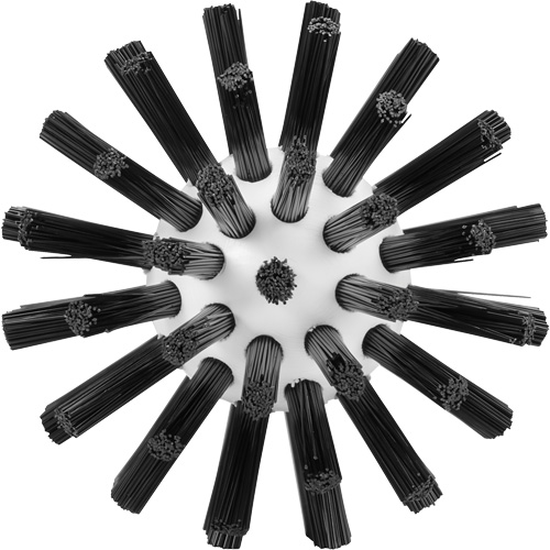 Brosse de nettoyage, Soies Ferme, Longueur de 5-7/10", Noir Cantin et fils