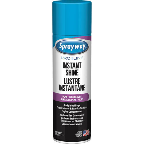 Brillant instantan&eacute; Pro Line pour surfaces en plastique, 11 oz, Canette a&eacute;rosol Cantin et fils
