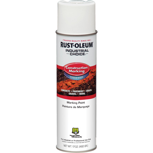 Peinture de marquage &agrave; base d'eau, 17 oz, Canette a&eacute;rosol Cantin et fils
