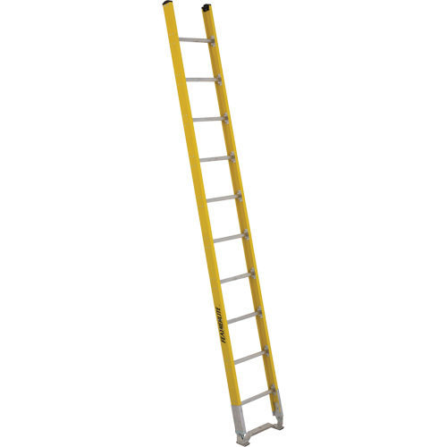 Single Section Straight Ladder - 6100 Series, 10', Fibreglass, 375 lbs., CSA Grade 1AA Cantin et fils
