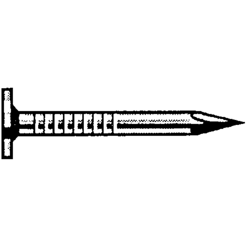 Clous de toiture brillants, t&ecirc;te 7/16" Cantin et fils