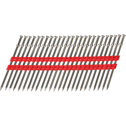 16D Collated Duplex Nails Cantin et fils