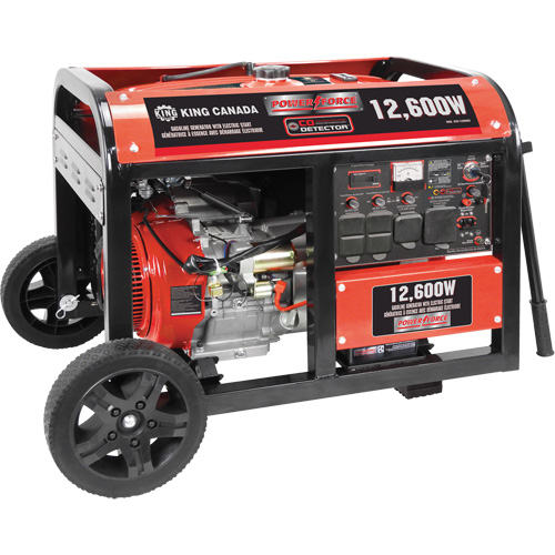 G&eacute;n&eacute;ratrice &agrave; essence &agrave; d&eacute;marreur &eacute;lectrique, 12600 W de surtension, 9000 W nominale, 120 V/240 V, R&eacute;servoir de 31 L Cantin et fils
