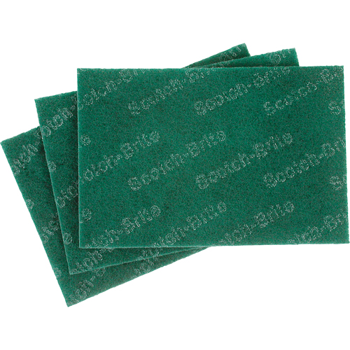Tampons manuels Scotch-Brite, 9" lo x 6" la Cantin et fils