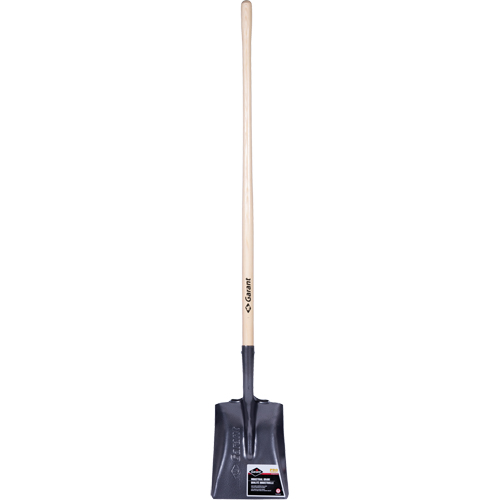 Pro Square Point Shovel, Wood, Tempered Steel Blade, Straight Handle, 48" Long Cantin et fils