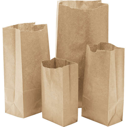 Paper Bags, Paper, 4-13/16" W x 8-1/2" L Cantin et fils