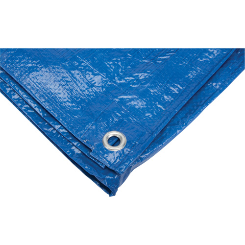 Tarp, Standard Duty, Blue, 7' x 5' x 4 mils Cantin et fils