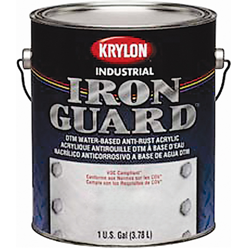 &eacute;mail industriel &agrave; base d'eau Iron Guard, Canette, Gris Cantin et fils