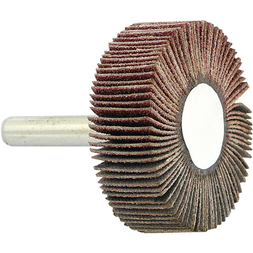 Shaft Mounted Flapwheel, 80 Grit, 1-1/2" x 1/2" x 1/4" Cantin et fils