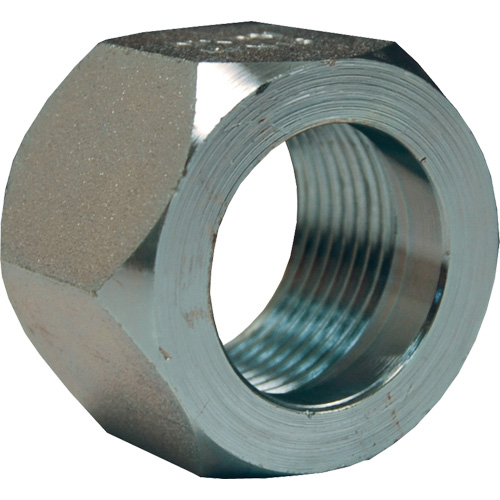Dixon&reg; Mining Hex Nut, 1", Zinc Plated, NPT Thread Cantin et fils