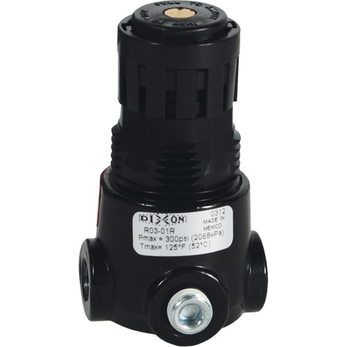 Wilkerson Miniature Regulator R03, 1/4" NPT, 300 psi Max. PSI, Standard Cantin et fils