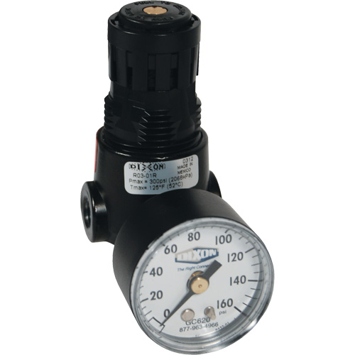 Wilkerson Miniature Regulator R04, 1/4" NPT, 300 psi Max. PSI, Standard Cantin et fils