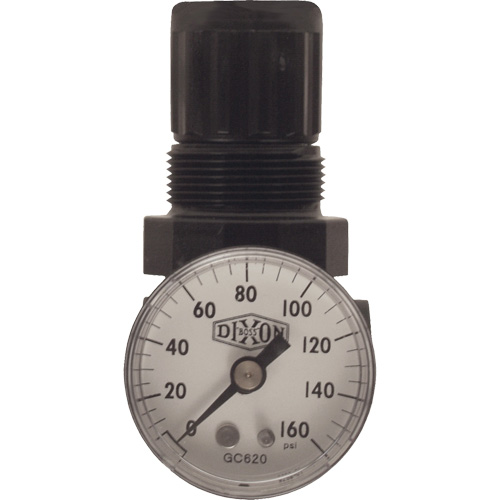 Series 1 Miniature Regulator, 1/8" NPT, 100 psi Max. PSI, Standard Cantin et fils