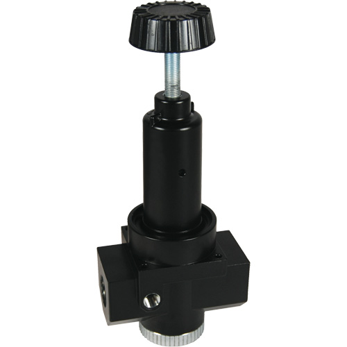 Wilkerson High Flow Regulator R30, 1" NPT, 300 psi Max. PSI, Standard Cantin et fils