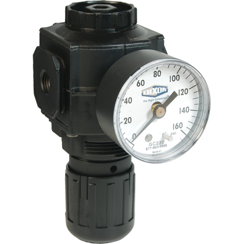 Series 1 Compact Regulator, 1/2" NPT, 150 PSI Max. PSI, Standard Cantin et fils