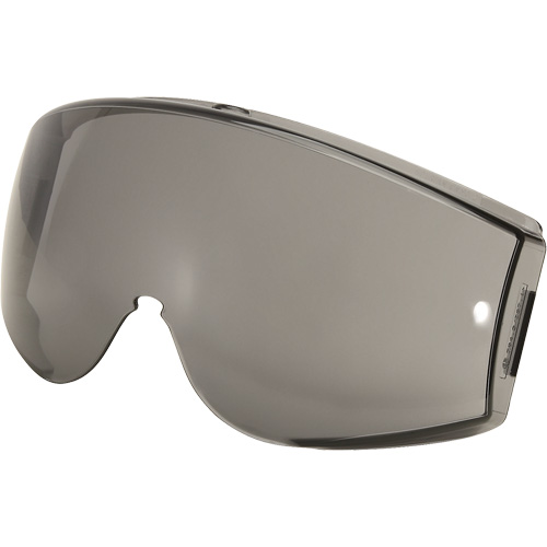 Lunettes de s&eacute;curit&eacute; Stealth, Antibu&eacute;e, Gris Cantin et fils