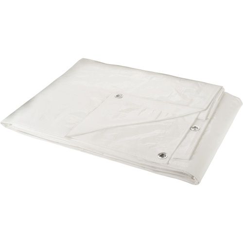 Tarp, Heavy-Duty, White, 30' x 20' x 6 mils Cantin et fils