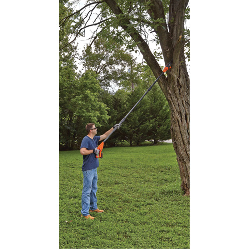 Max* Cordless Pole Pruning Saw Kit Cantin et fils