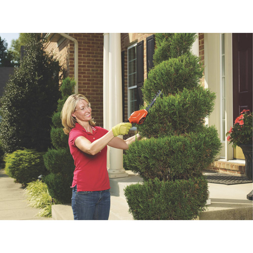 2-in-1 Garden Shear/Shrubber, Battery Powered, 3.6 V, 4"/6" Cutting Width Cantin et fils