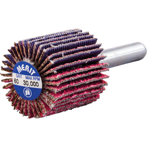 Mini-meule &agrave; lamelles mont&eacute;e sur tige, C&eacute;ramique d'alumine, Grain 60, 1" x 1" x 1/4" Cantin et fils