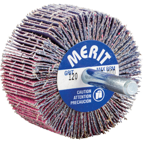 Mini-meule &agrave; lamelles mont&eacute;e sur tige, C&eacute;ramique d'alumine, Grain 120, 2" x 1" x 1/4" Cantin et fils