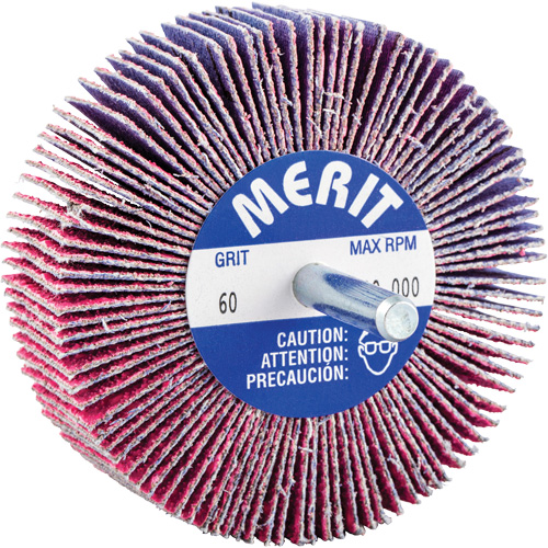 Mini-meule &agrave; lamelles mont&eacute;e sur tige, C&eacute;ramique d'alumine, Grain 60, 3" x 1" x 1/4" Cantin et fils