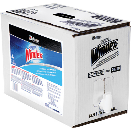 Nettoyant pour vitres Windex avec Ammoniac-D, 5 gal., Sac Cantin et fils