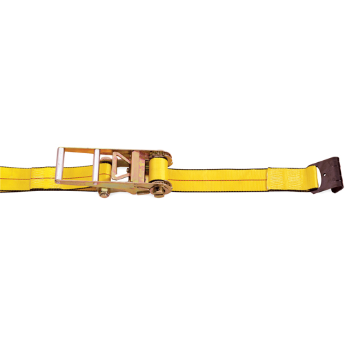 Tendeurs d'arrimage &agrave; cliquet, Crochet plat, 3" , 30' , Charge d'utilisation max. 5400 lb (2450 kg) Cantin et fils